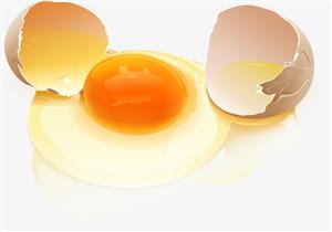  صفار أم بياض البيض.. أيهما أفضل لصحة الإنسان؟