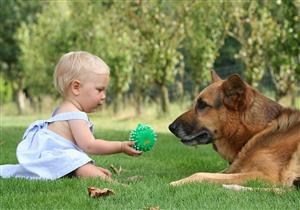 الكلاب تهدد طفلك بأمراض خطيرة.. 5 نصائح احرص عليها عند تربيتها