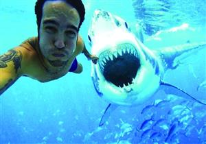 "السيلفي" أكثر فتكاً من أسماك القرش