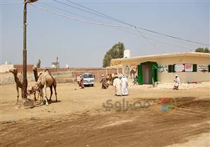  بعد صور الجمال الدامية.. كيف حال سوق برقاش؟