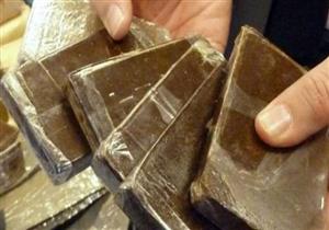خلال حملة أمنية.. ضبط 4 أشخاص بحوزتهم 20 طربة حشيش