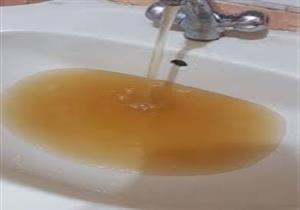لتجنب مزرعة البكتريا.. طرق طبيعية لتنقية مياه الشرب بدون فلتر