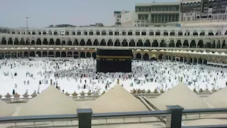 قواعد جديدة للوكيل الملاحي في رحلات العمرة 1447هـ -(تفاصيل)