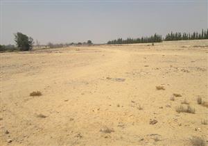 خدعهم بـ"تسقيع الأراضي".. تفاصيل أحدث قضية نصب في القليوبية