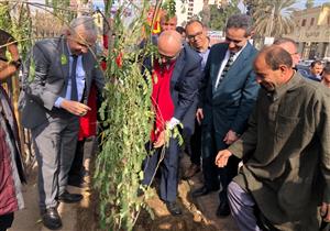 محافظ الغربية يطلق مبادرة "اتحضر للأخضر" بزراعة 1250 شجرة في جامعة طنطا