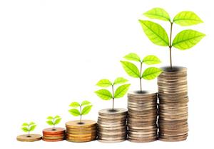 تعرف على شروط إخراج زكاة المال.. أمين الفتوى يوضح