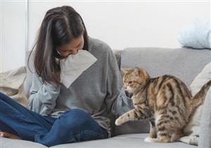 تربية القطط قد تصيبك بالحساسية.. 7 أعراض تكشف عنها