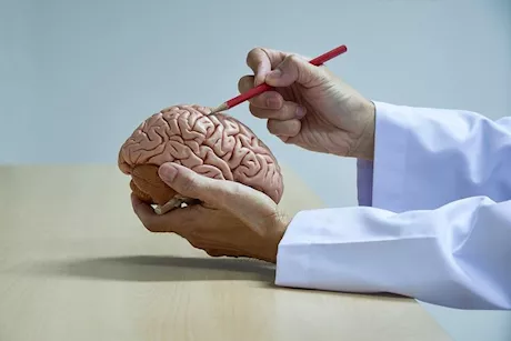 اليقظة الذهنية- كيف تحميك من القلق والاكتئاب؟ 