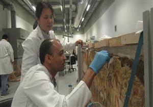 تمنحها أكثر الصحف توزيعا في العالم.. فوز مشروع الترميم بالمتحف الكبير بجائزة للتعاون الدولي