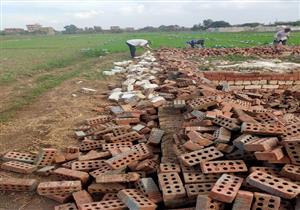 بالتزامن مع انتخابات النواب.. إزالة 7 تعديات على الأراضي الزراعية بالمنوفية