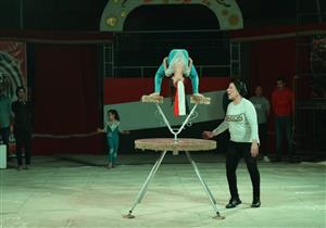 "البيت الفني": سيرك مايو يحقق أعلى إيراد في تاريخه (صور)