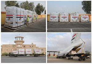 مواد غذائية وبدل واقية.. مصر ترسل مساعدات طبية وإنسانية لدولة مالي