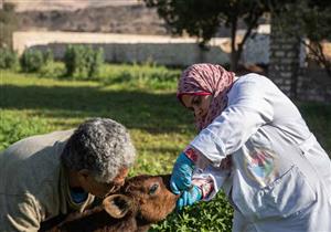 بالصور- في سوهاج.. قصة فتاة تطوف القرى لعلاج "الحيوانات"