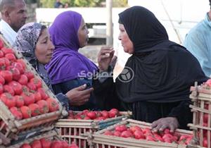 تراجع الطماطم والباذنجان.. أسعار الخضروات والفاكهة بسوق العبور اليوم