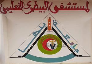 بالصور .. "مصراوي" داخل أول مستشفى لعلاج الحيوانات الأليفة بالقليوبية 
