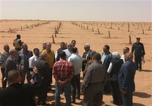 بالصور.. محافظ الوادي الجديد يتفقد مزرعة نخيل نموذجية بقرية القلمون