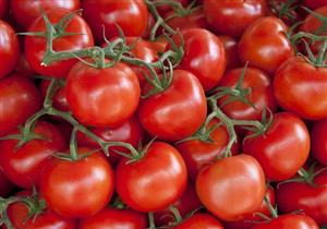 احذر هذه الأطعمة بعد تناول المضادات الحيوية.. و5 أنواع احرص عليهم