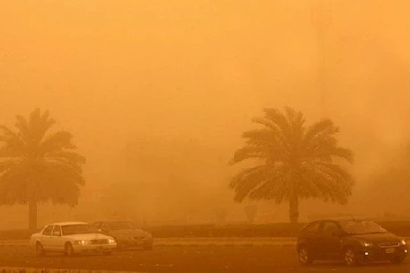 روشتة لمرضى الجيوب الأنفية في العاصفة التربية