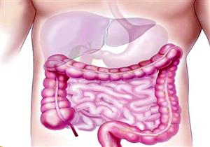 الكشف عن شكل الأمعاء المصابة بفيروس كورونا