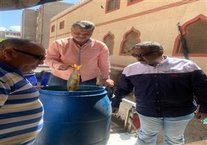 ضبط "ربع طن فسيخ فاسد" في أول أيام العيد ببورسعيد