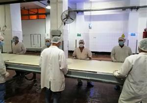 حملات تفتيشية مفاجئة على 51 منشأه صناعية بالشرقية- صور