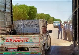  بالصور.. بوابات تعقيم سيارات على مدخل  الداخلة في الوادي الجديد