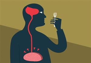 كيفية التحكم في هرمون الجوع.. 5 أطعمة تساعدك على الشبع أثناء الدايت