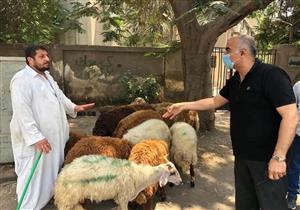 استعدادًا لعيد الأضحى.. برلماني يطالب الحكومة بمنع إقامة الشوادر للحد من "كورونا"