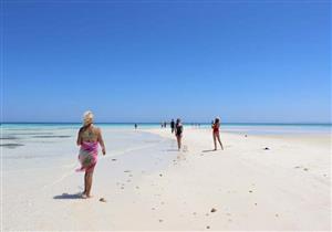 حصول مركزي غوص ويختين  بجنوب سيناء على شهادة السلامة الصحية