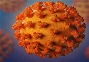 مفاجأة.. فيروس شبيه كورونا ظهر في منجم ملئ بالخفافيش قبل 6 سنوات