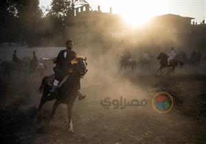 فرسان الصعيد.. رحلة مع احتفالات المرماح (ملف مصور)