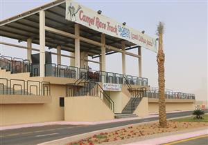 الأربعاء.. البروفات التنشيطية لسباق الهجن بمضمار شرم الشيخ