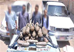 الداخلية: ضبط 4 أشخاص بحوزتهم 63 كجم بانجو و10 كجم أستروكس في أسوان