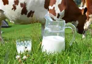 إدارة الغذاء والدواء الأمريكية: تكشف أمر خطير في حليب الأبقار