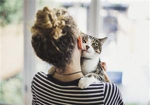 لغة الجسد هي المفتاح عند محاولة فهم قطتك