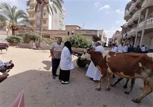 الزراعة: "الصحة الحيوانية" يشارك في قوافل طبية مجانية ضمن مبادرة حياة كريمة