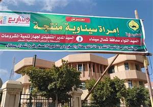 جهاز تنمية سيناء: ضخ 271 مليون جنيه في مشروعات الشباب