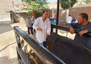 تستهدف 166 ألف رأس.. انطلاق حملة تحصين الماشية في أسيوط - صور