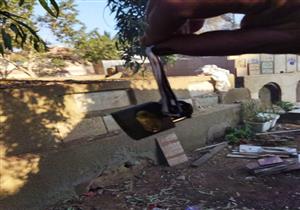 "قفل وموس ورصاص".. العثور على أعمال سحر وشعوذة بمقابر في كفر الشيخ- صور 