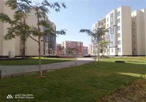  رئيس جهاز حدائق أكتوبر: عقوبة تحويل الوحدات السكنية إلى محلات تصل للحبس