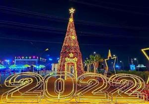 صور.. أشجار "الكريسماس" تزين شوارع بورسعيد استعدادا لاحتفالات رأس السنة