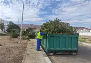 صور.. رفع 50 طن مخلفات تقليم الأشجار في مدينة دهب