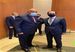 شكري يبحث مع نظيره القبرصي التعاون الثنائي والقضايا الإقليمية (صور)