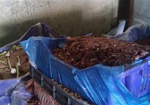 ضبط 3 أطنان من الدواجن ومصنعات اللحوم فاسدة بالقليوبية 