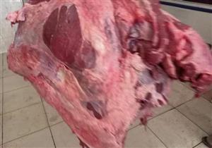 ضبط 8.5 طن لحوم غير صالحة للاستهلاك الآدمي في القليوبية