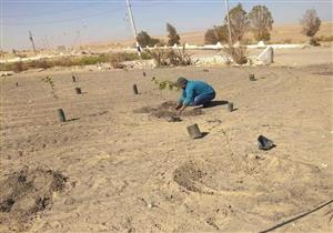 صور.. حديقة جديدة لخلق متنفس حضاري في "بولاق" بالوادي الجديد