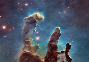 بعد نشرها مقطع فيديو.. ما هي "الحيوانات" التي اكتشفتها "ناسا"؟