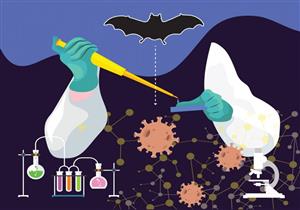 خطر جديد.. اكتشاف 4 فيروسات شبيهة بكورونا في خفافيش بالصين
