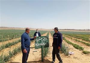 صور.. استرداد 169 فدانًا ضمن أملاك الدولة في البحيرة 