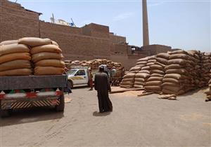 توريد 3079 طن قمح في كفر الشيخ